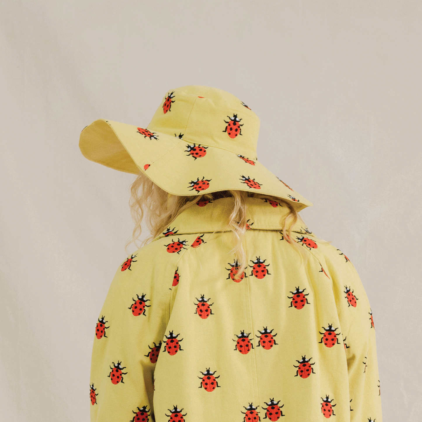 Ladybug Hat