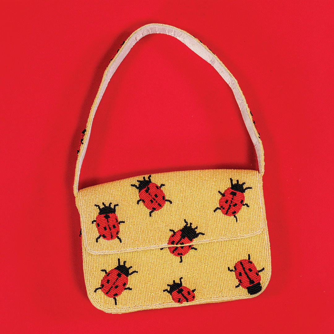 Ladybug Bag