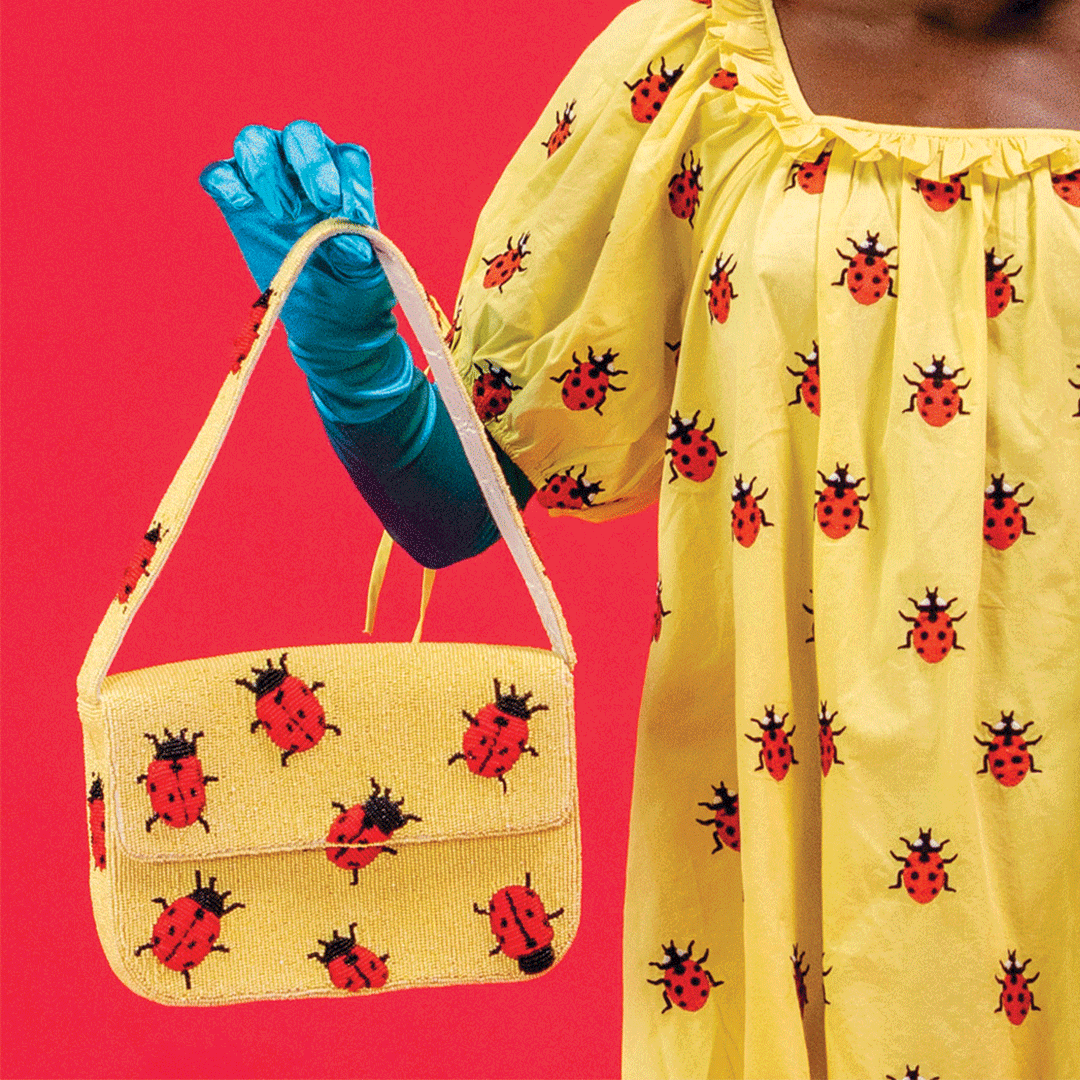 Ladybug Bag