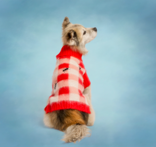 Dog Picnic Sweater